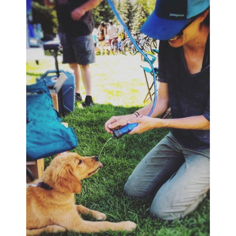 Load image into Gallery viewer, LIFESTRAW FLEX WATER FILTER WITH GRAVITY BAG