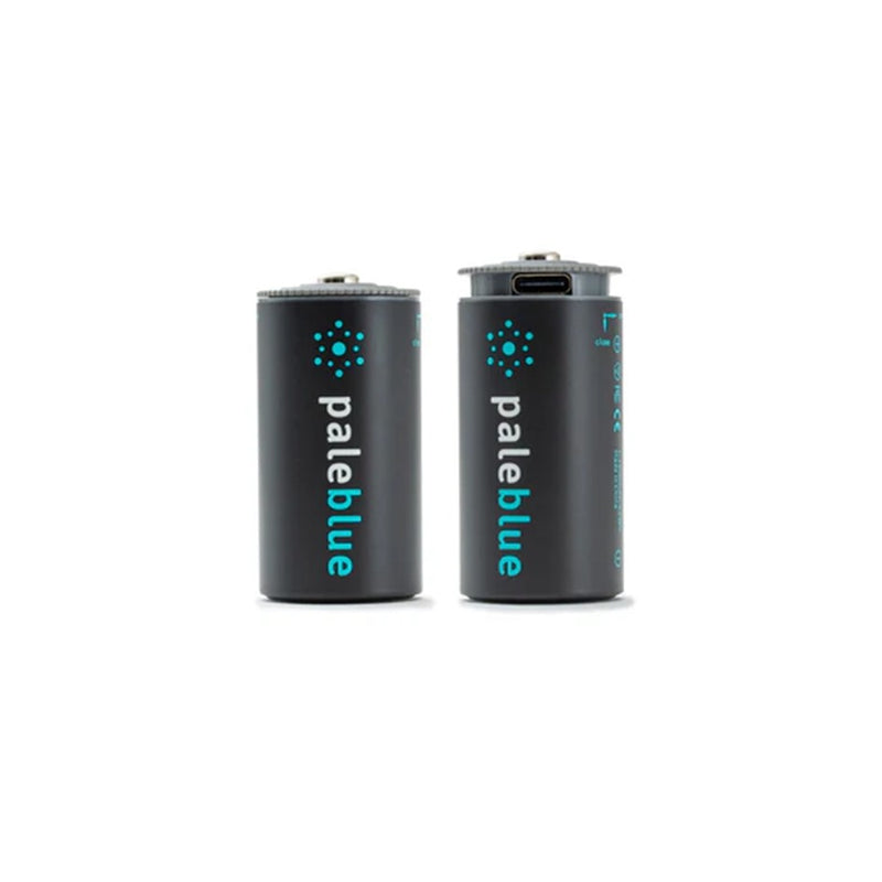 Load image into Gallery viewer, PALEBLUE C USB RECHARGEABLE SMART BATTERIES