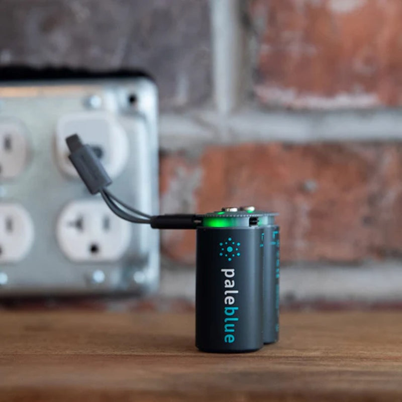 Load image into Gallery viewer, PALEBLUE C USB RECHARGEABLE SMART BATTERIES