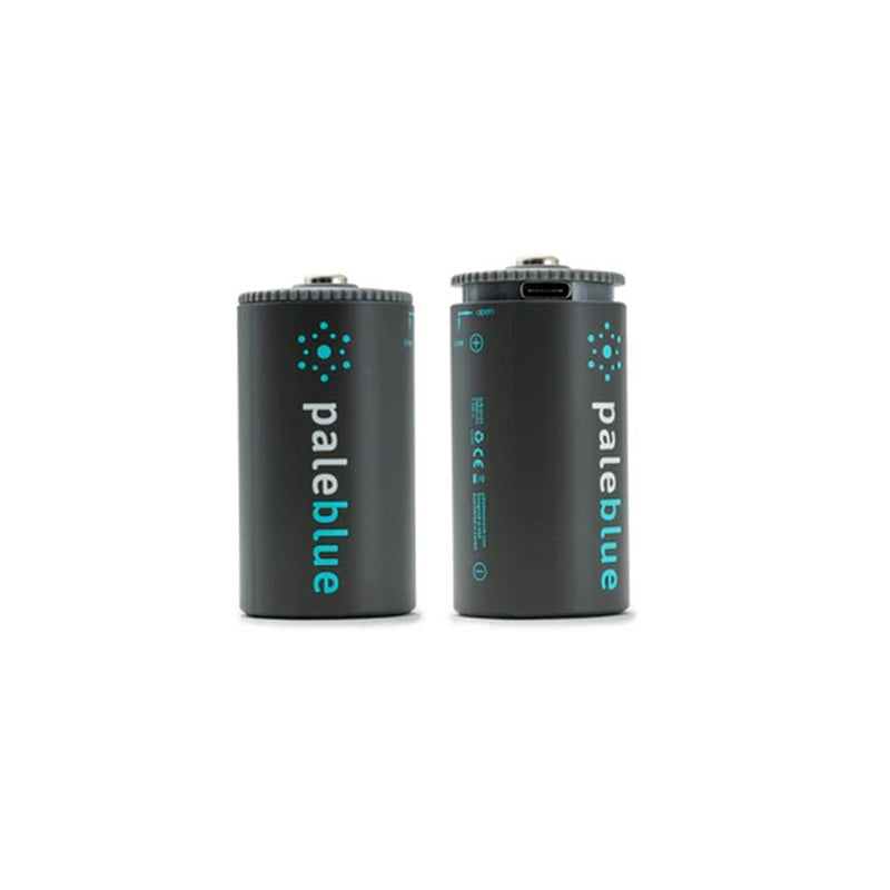 Load image into Gallery viewer, PALEBLUE D USB RECHARGABLE SMART BATTERIES