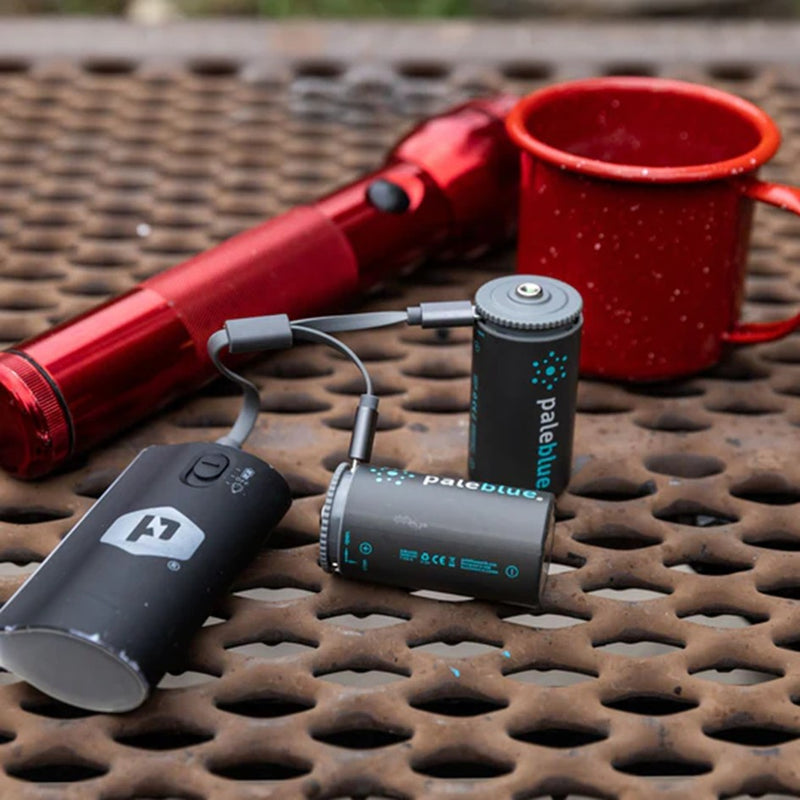 Load image into Gallery viewer, PALEBLUE D USB RECHARGABLE SMART BATTERIES