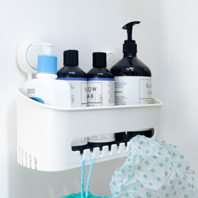 Load image into Gallery viewer, COMPANION SUCTION SHELF