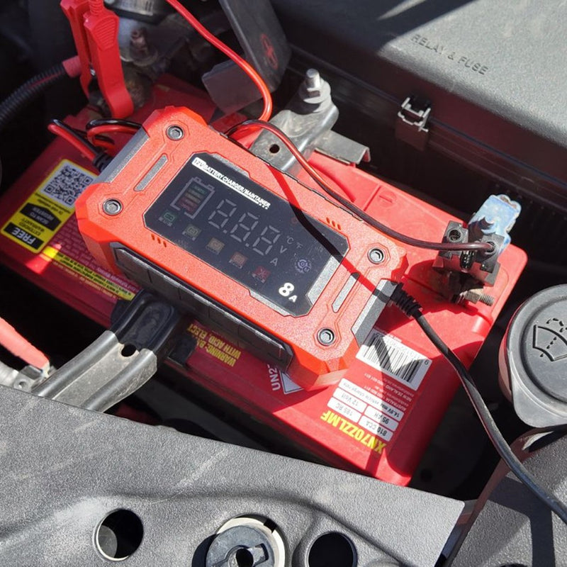 Load image into Gallery viewer, WILDTRAK BATTERY CHARGER 8A 12V