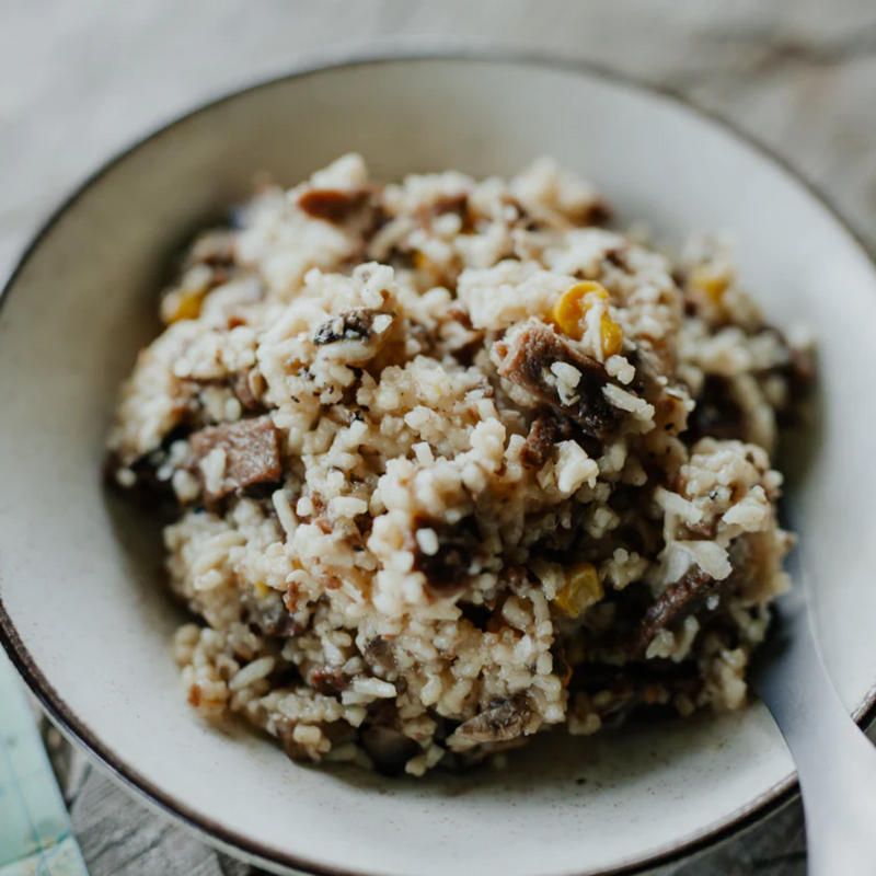 Load image into Gallery viewer, BACK COUNTRY BEEF STROGANOFF REGULAR