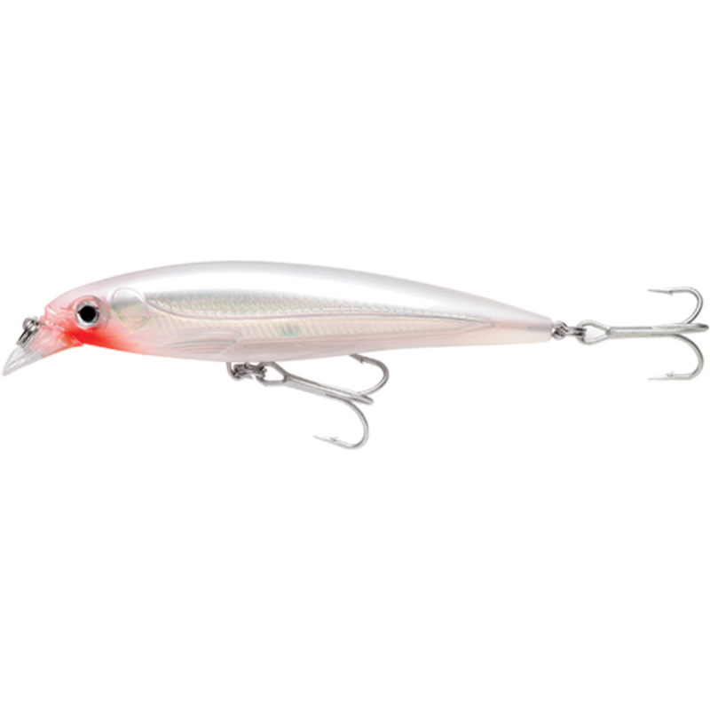 Load image into Gallery viewer, RAPALA X-RAP SALTWATER [SZ:10CM CLR:GGH]
