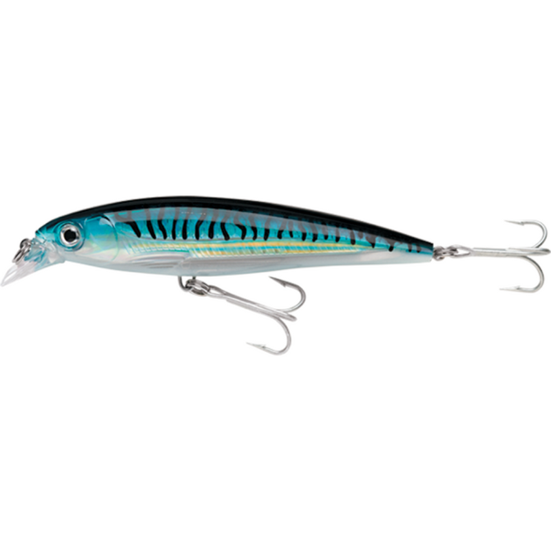 Load image into Gallery viewer, RAPALA X-RAP SALTWATER [SZ:12CM CLR:SBM]
