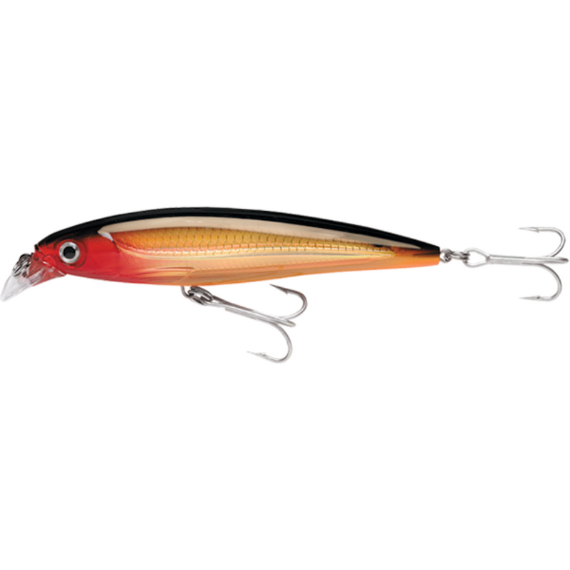 Load image into Gallery viewer, RAPALA X-RAP SALTWATER [SZ:12CM CLR:G]
