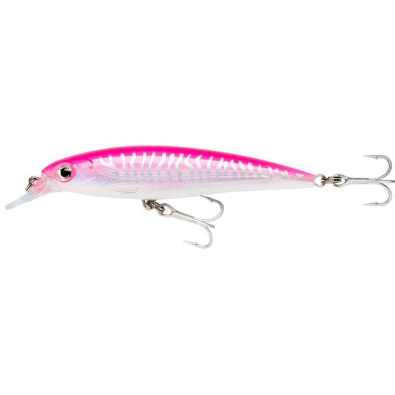 Load image into Gallery viewer, RAPALA X-RAP SALTWATER [SZ:10CM CLR:HPU]
