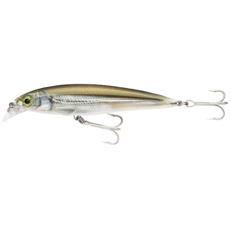 Load image into Gallery viewer, RAPALA X-RAP SALTWATER [SZ:10CM CLR:MM]
