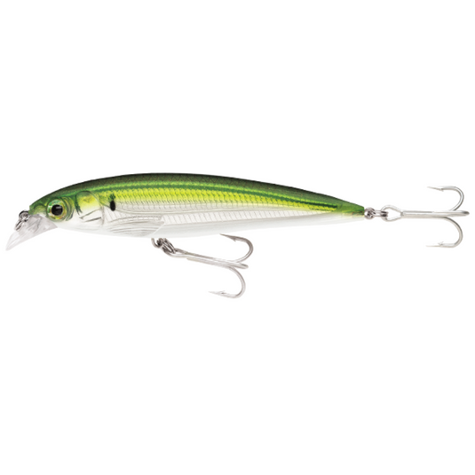 RAPALA X-RAP SALTWATER [SZ:10CM CLR:PLD]