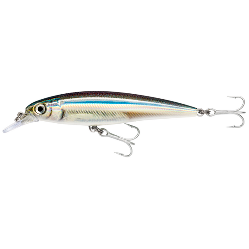 Load image into Gallery viewer, RAPALA X-RAP SALTWATER [SZ:12CM CLR:ANC]
