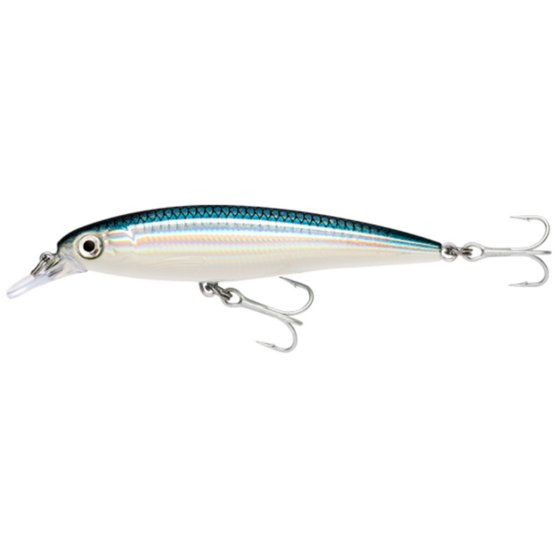 Load image into Gallery viewer, RAPALA X-RAP SALTWATER [SZ:12CM CLR:BFH]
