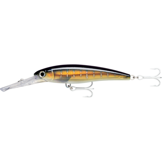 RAPALA X-RAP MAGNUM [SZ:14CM 20FT CLR:HD SAILFISH UV]