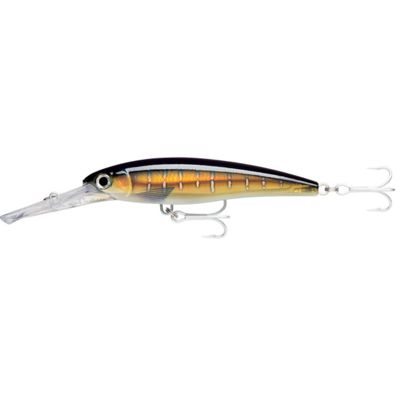Load image into Gallery viewer, RAPALA X-RAP MAGNUM [SZ:16CM 30FT CLR:HD SAILFISH UV]
