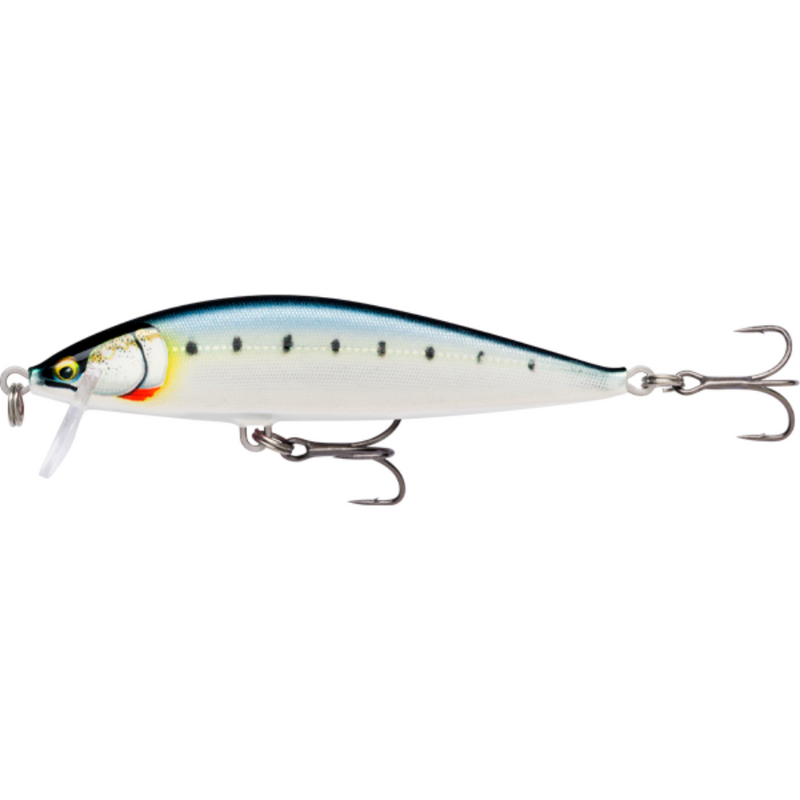 Load image into Gallery viewer, RAPALA COUNTDOWN ELITE 9.5CM [CLR:GILDED MAIWASHI]

