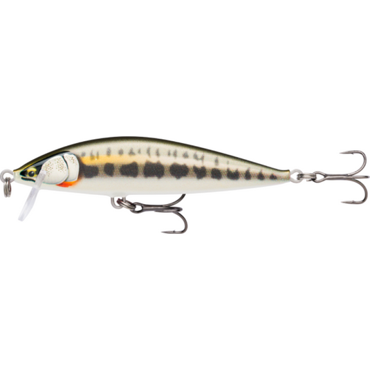 RAPALA COUNTDOWN ELITE 9.5CM [CLR:GILDED MINNOW]