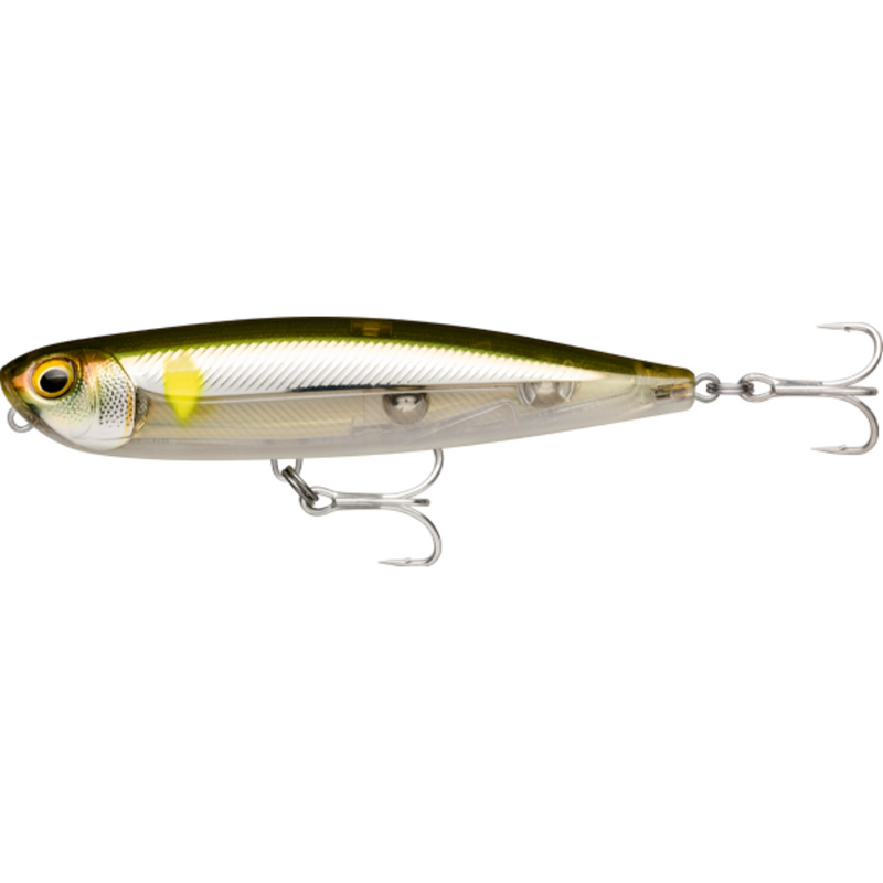 Load image into Gallery viewer, RAPALA PRECISION XTREME PENCIL SALTWATER 107MM [CLR:AYU]
