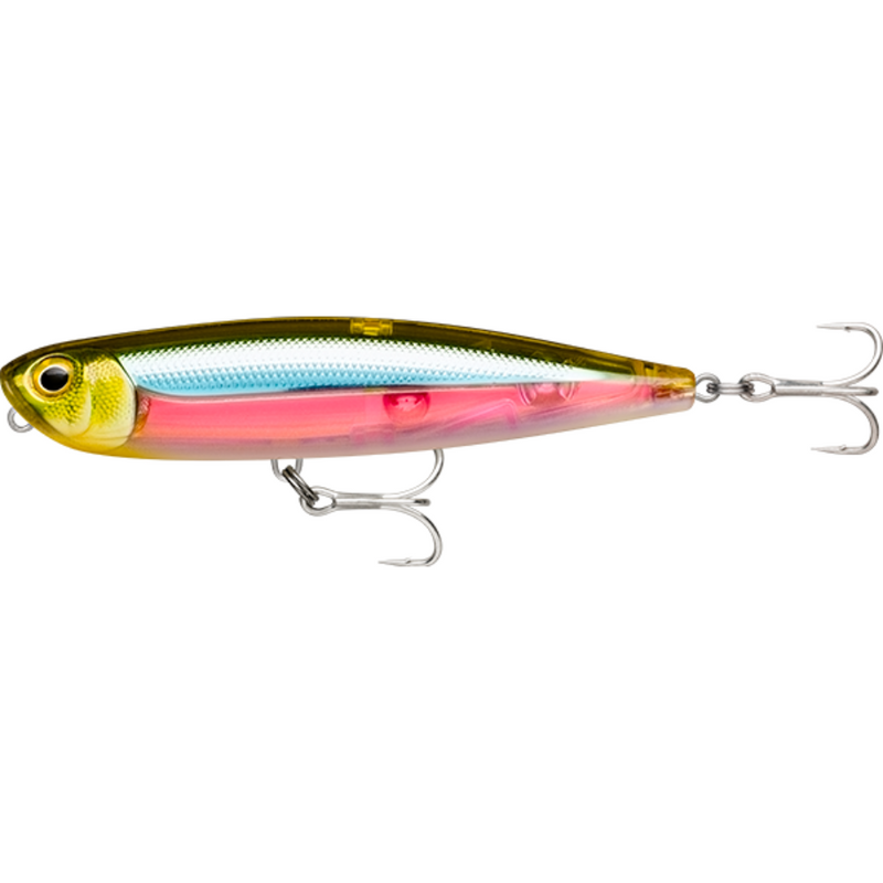 Load image into Gallery viewer, RAPALA PRECISION XTREME PENCIL SALTWATER 107MM [CLR:GHOST SANDEEL]
