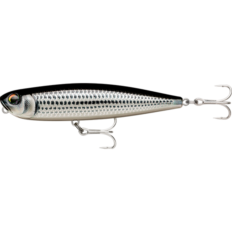 Load image into Gallery viewer, RAPALA PRECISION XTREME PENCIL SALTWATER 107MM [CLR:MULLET]
