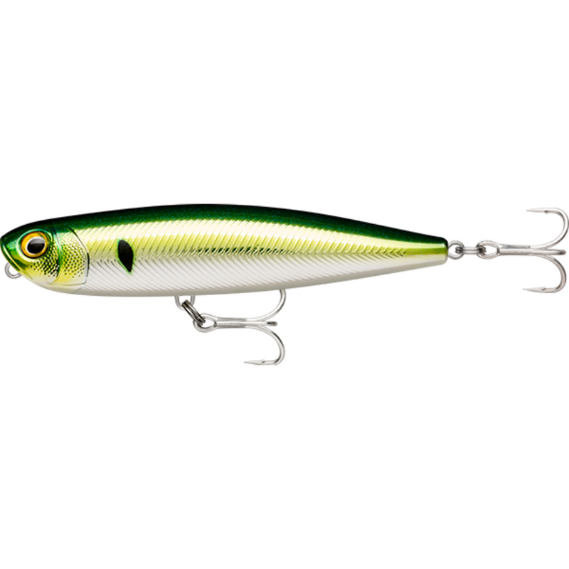 Load image into Gallery viewer, RAPALA PRECISION XTREME PENCIL SALTWATER 107MM [CLR:PHILCHARD]
