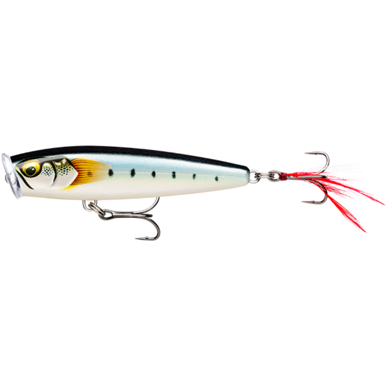 Load image into Gallery viewer, RAPALA SKITTER POP ELITE [SZ:9.5CM CLR:GILDED MAIWASHI]
