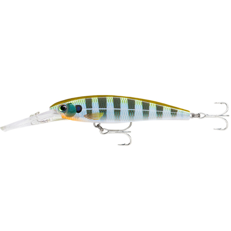 Load image into Gallery viewer, RAPALA X-RAP SALTWATER DEEP 11CM [CLR:BG]
