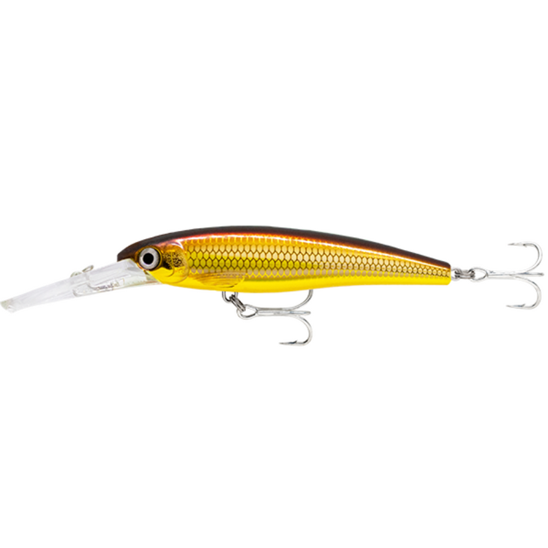 Load image into Gallery viewer, RAPALA X-RAP SALTWATER DEEP 11CM [CLR:GALB]
