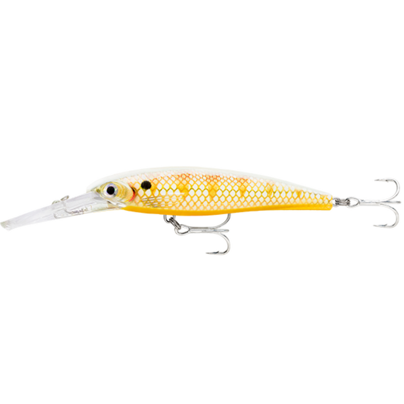 Load image into Gallery viewer, RAPALA X-RAP SALTWATER DEEP 11CM [CLR:PGG]
