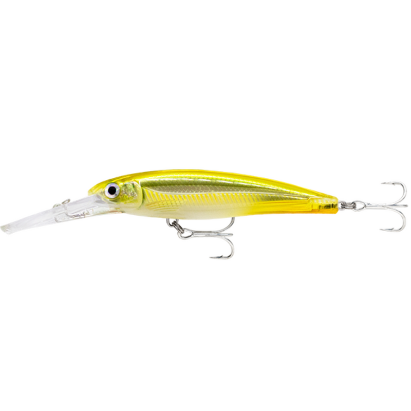 Load image into Gallery viewer, RAPALA X-RAP SALTWATER DEEP 11CM [CLR:WPDU]
