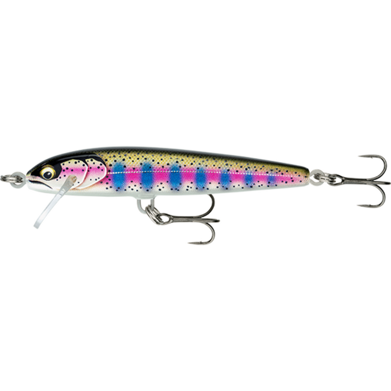 Load image into Gallery viewer, RAPALA FLOATER ELITE 8.5CM [CLR:GILDED RAINBOW TROUT]
