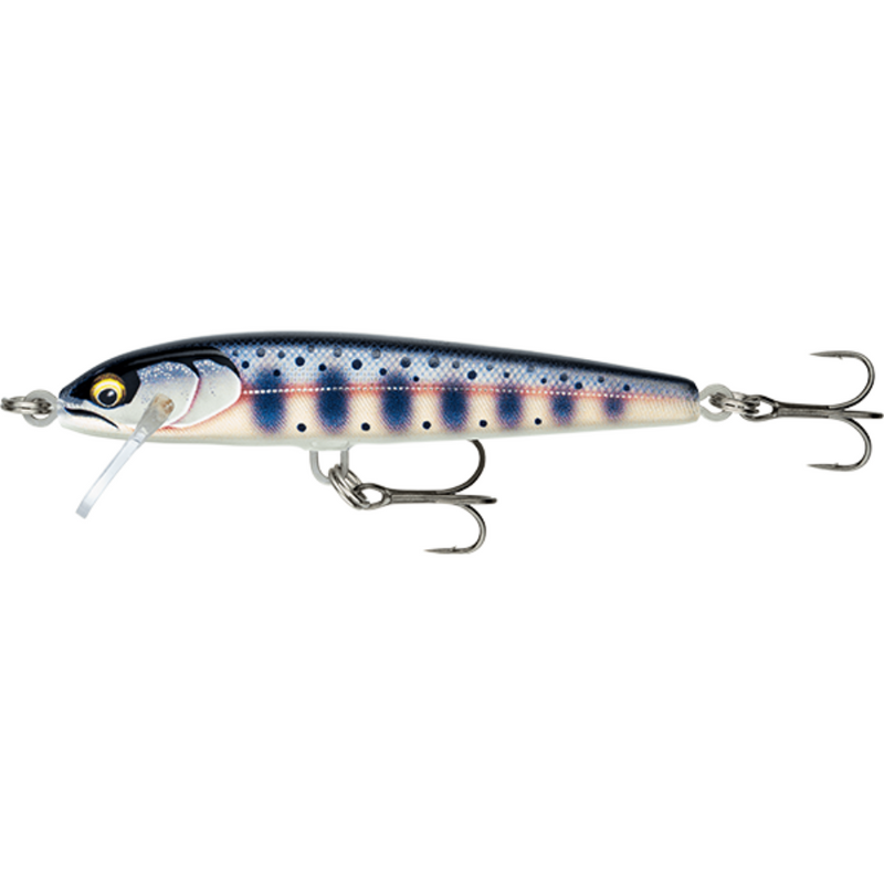 Load image into Gallery viewer, RAPALA FLOATER ELITE 8.5CM [CLR:GILDED YAMAME]
