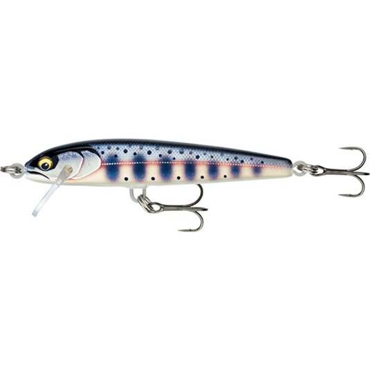 RAPALA FLOATER ELITE 8.5CM [CLR:GILDED YAMAME]