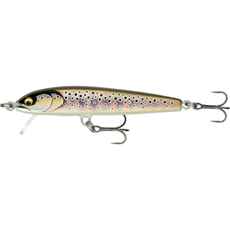Load image into Gallery viewer, RAPALA FLOATER ELITE 8.5CM [CLR:GILDED BROWN TROUT]

