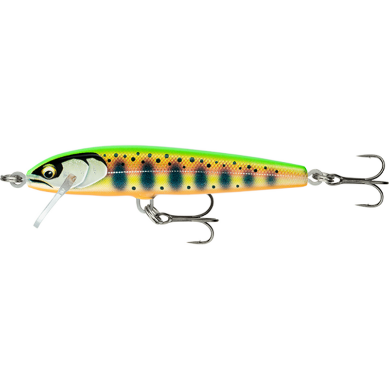 Load image into Gallery viewer, RAPALA FLOATER ELITE 8.5CM [CLR:GILDED CHARTREUSE YAMAME]

