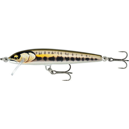 RAPALA FLOATER ELITE 8.5CM [CLR:GILDED MINNOW]