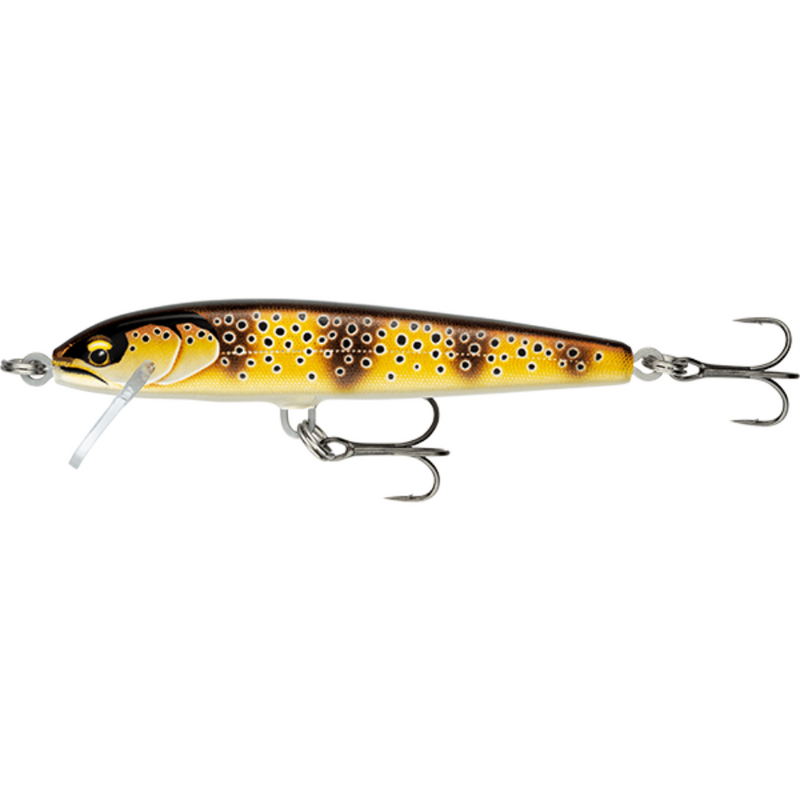 Load image into Gallery viewer, RAPALA FLOATER ELITE 8.5CM [CLR:MEDITERRANEAN TROUT]
