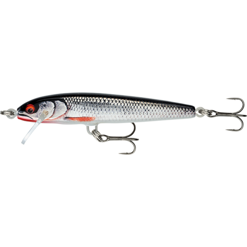 Load image into Gallery viewer, RAPALA FLOATER ELITE 8.5CM [CLR:GILDED LIVE ROACH]
