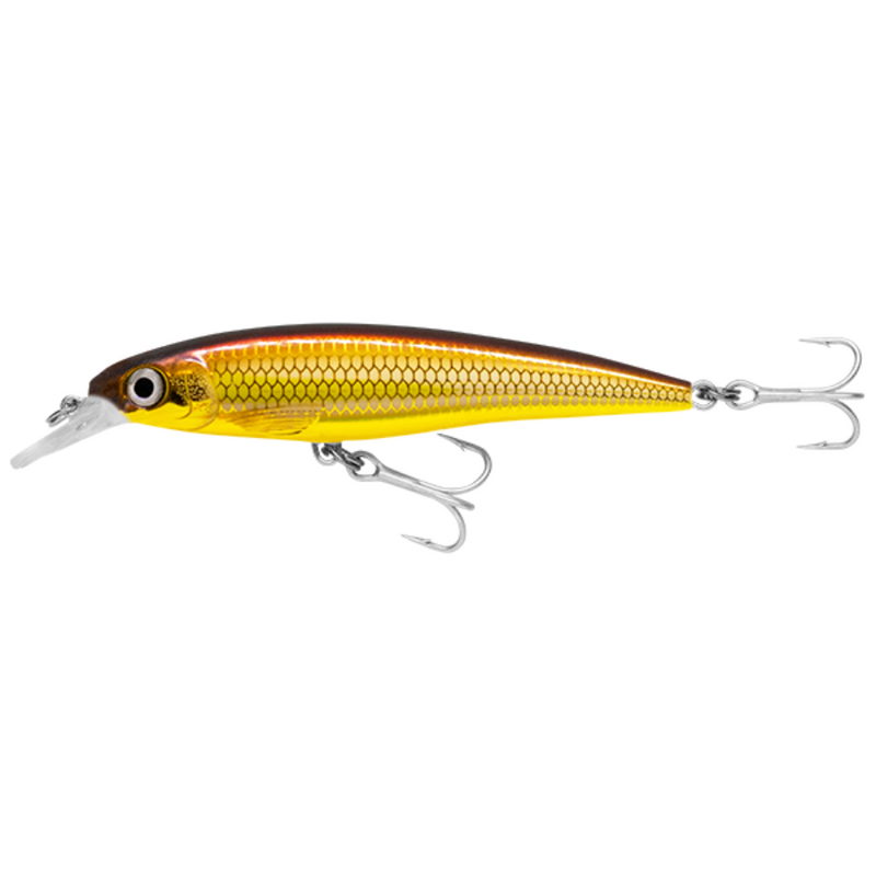 Load image into Gallery viewer, RAPALA X-RAP SALTWATER [SZ:10CM CLR:GALB]
