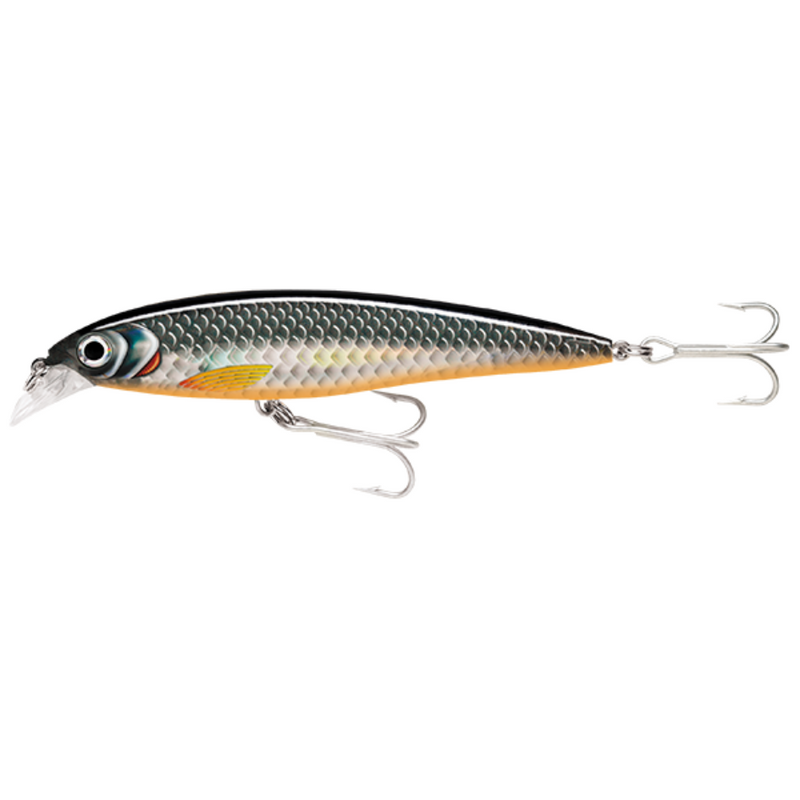 Load image into Gallery viewer, RAPALA X-RAP SALTWATER [SZ:10CM CLR:HLW]
