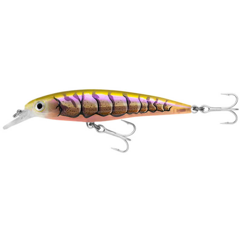 Load image into Gallery viewer, RAPALA X-RAP SALTWATER [SZ:10CM CLR:PUPU]
