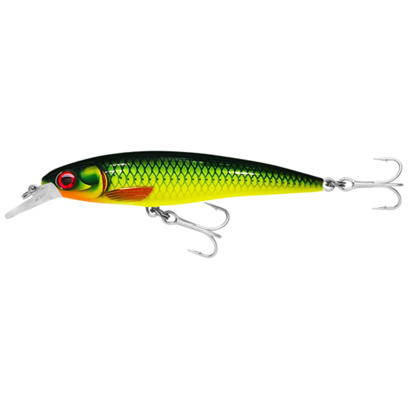Load image into Gallery viewer, RAPALA X-RAP SALTWATER [SZ:10CM CLR:LGR]
