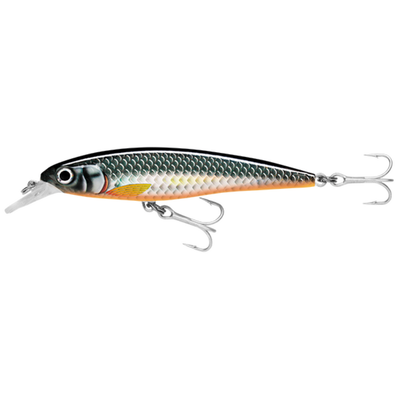 Load image into Gallery viewer, RAPALA X-RAP SALTWATER [SZ:12CM CLR:HLW]

