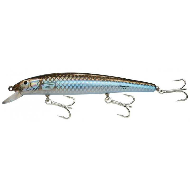Load image into Gallery viewer, BOMBER LONG A SALTWATER 16A [CLR:BMDI]
