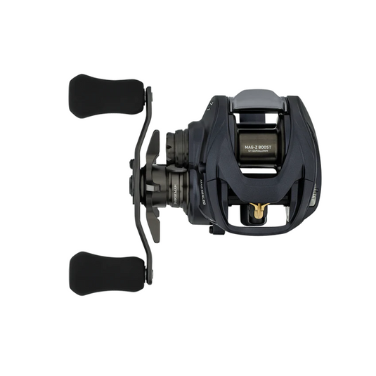 DAIWA STEEZ A II TW 1000H