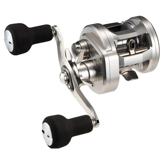 DAIWA 26 RYOGA 150H