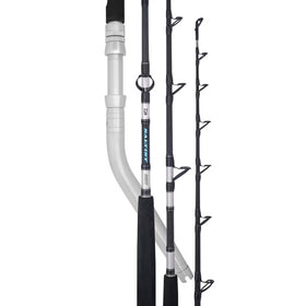 DAIWA SALTIST 56HT (SWIVEL TIP) DENDOH ROD