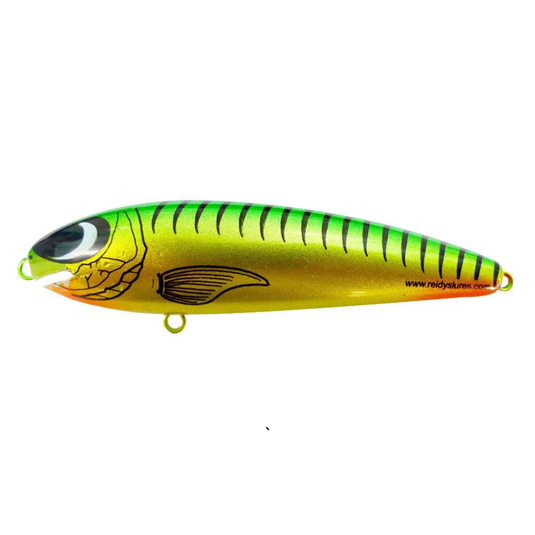 REIDYS TAIPAN [SZ:3M CLR:035]