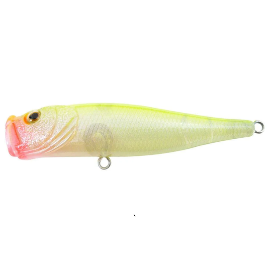 REIDYS THE BLOOPER [CLR:C60]