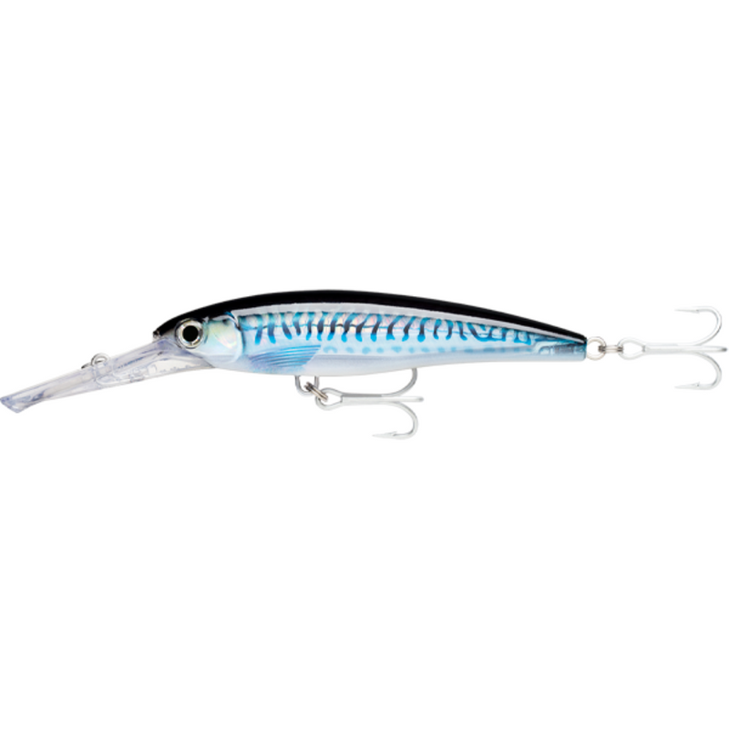 Load image into Gallery viewer, RAPALA X-RAP MAGNUM [SZ:20CM 40FT CLR:HD SILVER BLUE MACKEREL]
