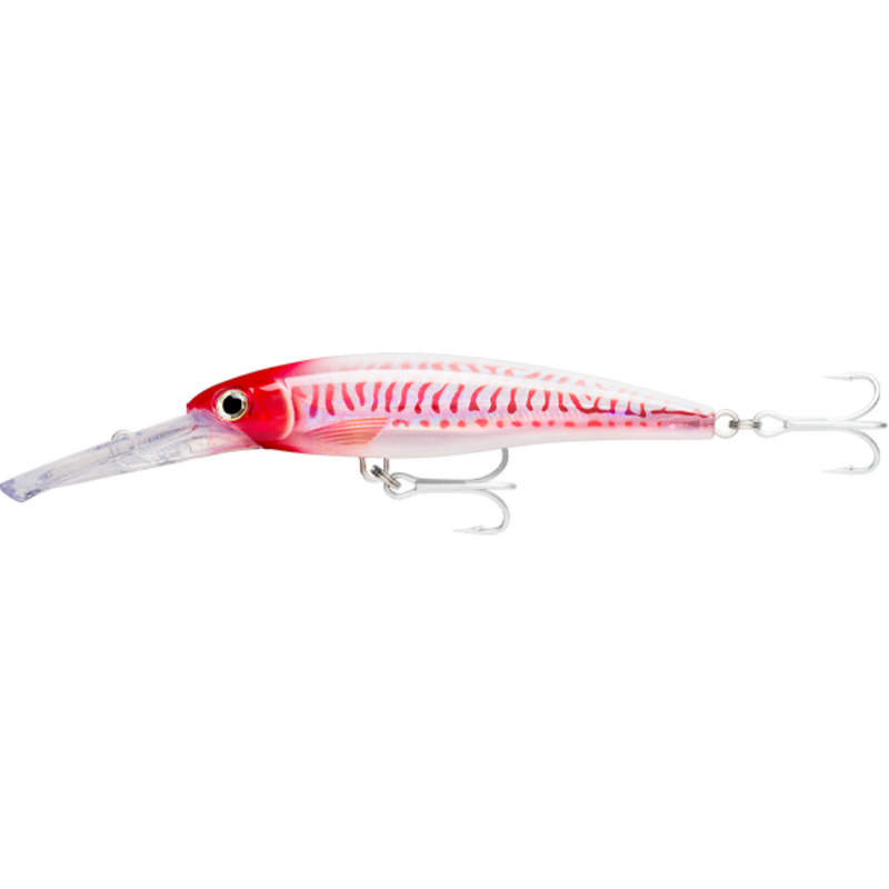 Load image into Gallery viewer, RAPALA X-RAP MAGNUM [SZ:20CM 40FT CLR:HD RED HEAD UV]
